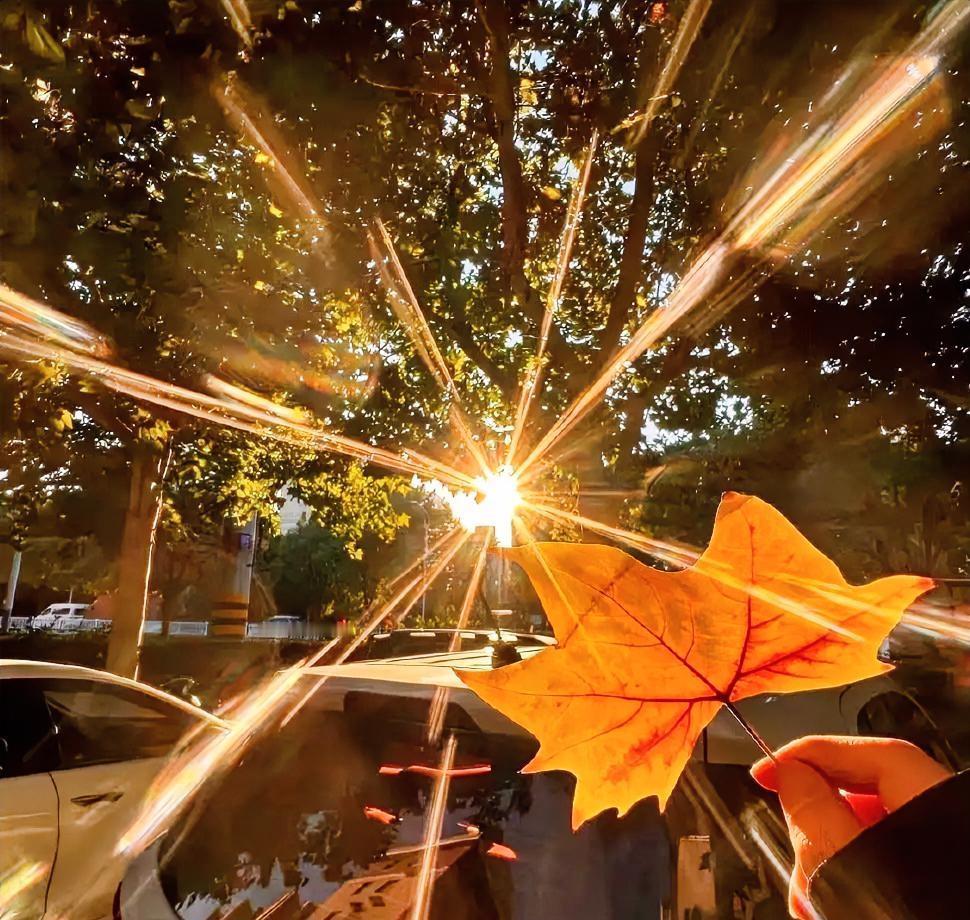 这年头被父母催婚的年轻人多了去了，可真有人为了图个清净，随便拉个人就把婚结了，这