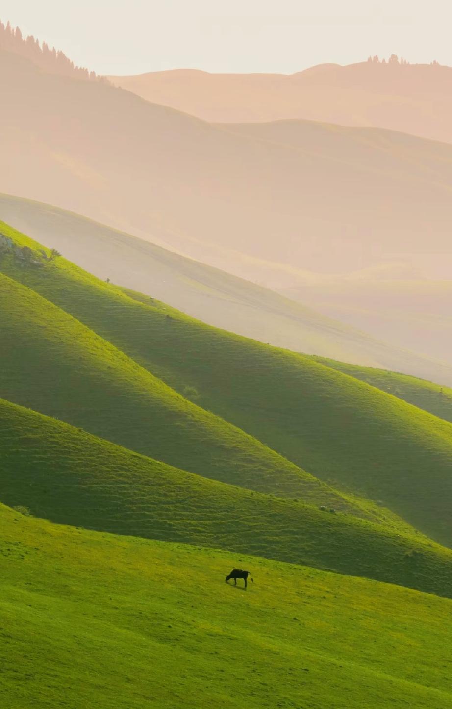 男人，如果你体质差，性格软弱，老是存不住钱，容易精神内耗。想要命好，你一定要记住