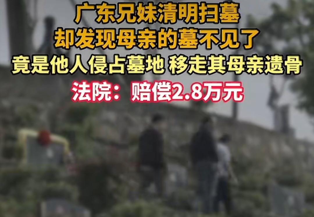 清明扫墓发现母亲坟没了！被人私自迁走，法院判了。清明去给母亲上坟，结果到了地