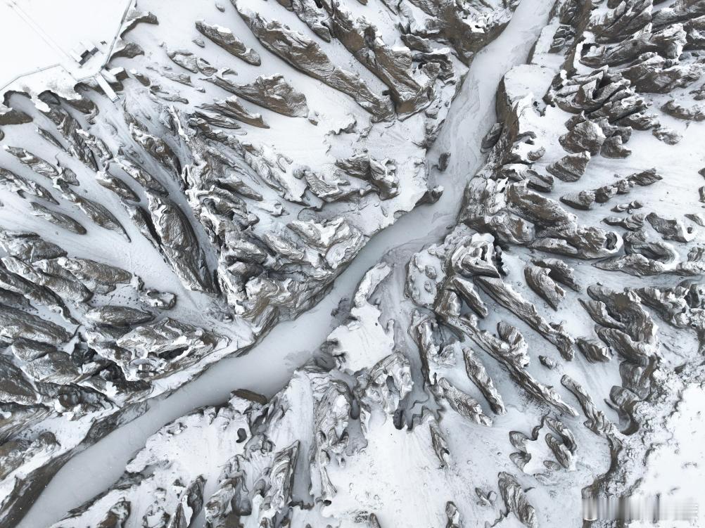 神奇土林——雪覆奇林峡日喀则·奇林峡景区喜马拉雅余脉间，千年风刀霜剑将