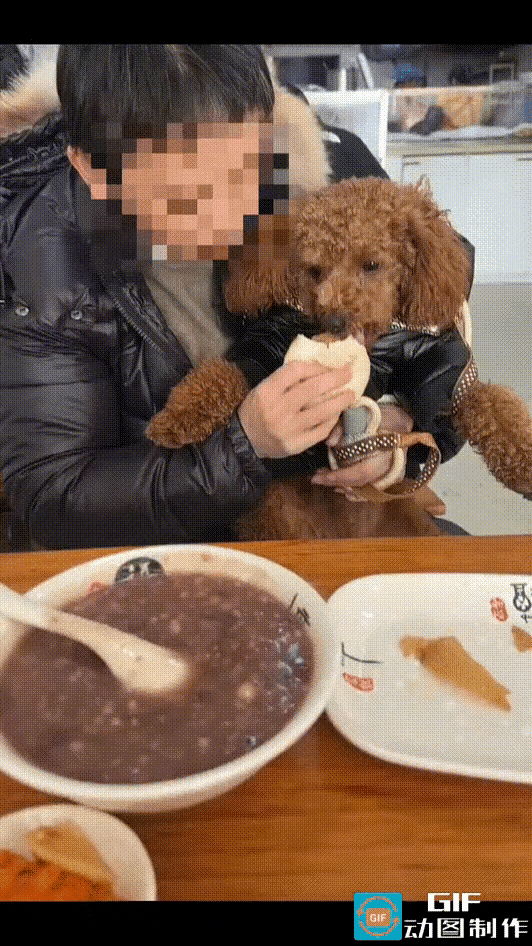 女子带宠物狗进早餐店吃饭，令人恶心的一幕发生了：她喂狗吃包子，还把狗咬过的包子给