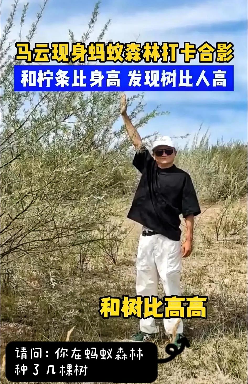 马云突然现身沙漠！这回不是为了赚钱！谁都没想到……消失许久的马云竟然出现在