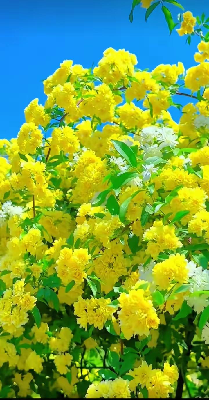 在变老的路上，好好善待自己1. 放过自己，不跟往事较劲不纠结遗憾，不纠缠