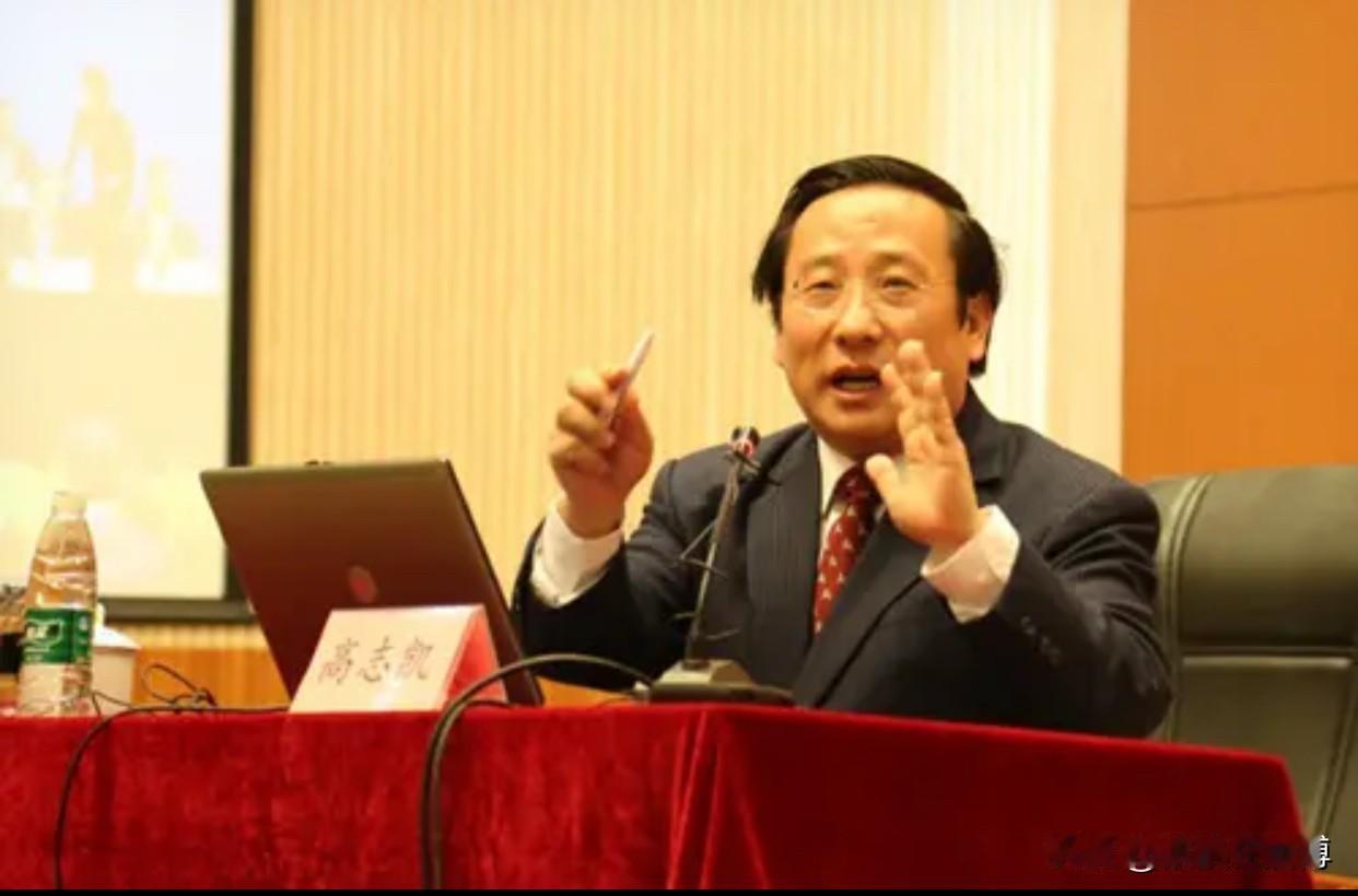 今天刷到高志凯教授在多哈论坛回怼非洲学生的视频，那句点透历史的话直接戳中我——“