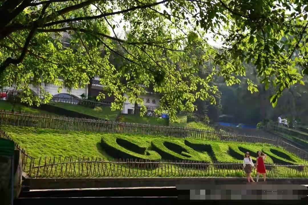 上周日，重庆的张先生带儿子去杨家坪动物园。车停到两公里外，走进大门用了40分