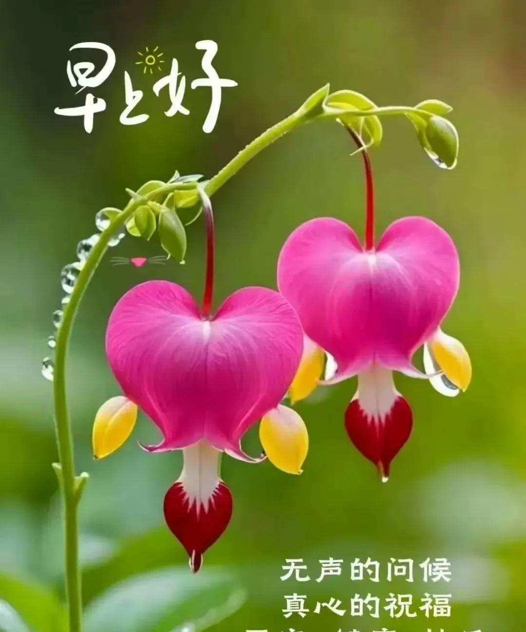#上联：千枝红树妆秋色，诚邀下联#数缕清香醉晚风。