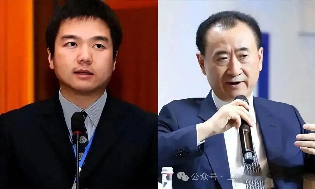 【当年硬刚首富的县长】把利润全部留在当地这是年轻的县长面对首富最硬气的一句话
