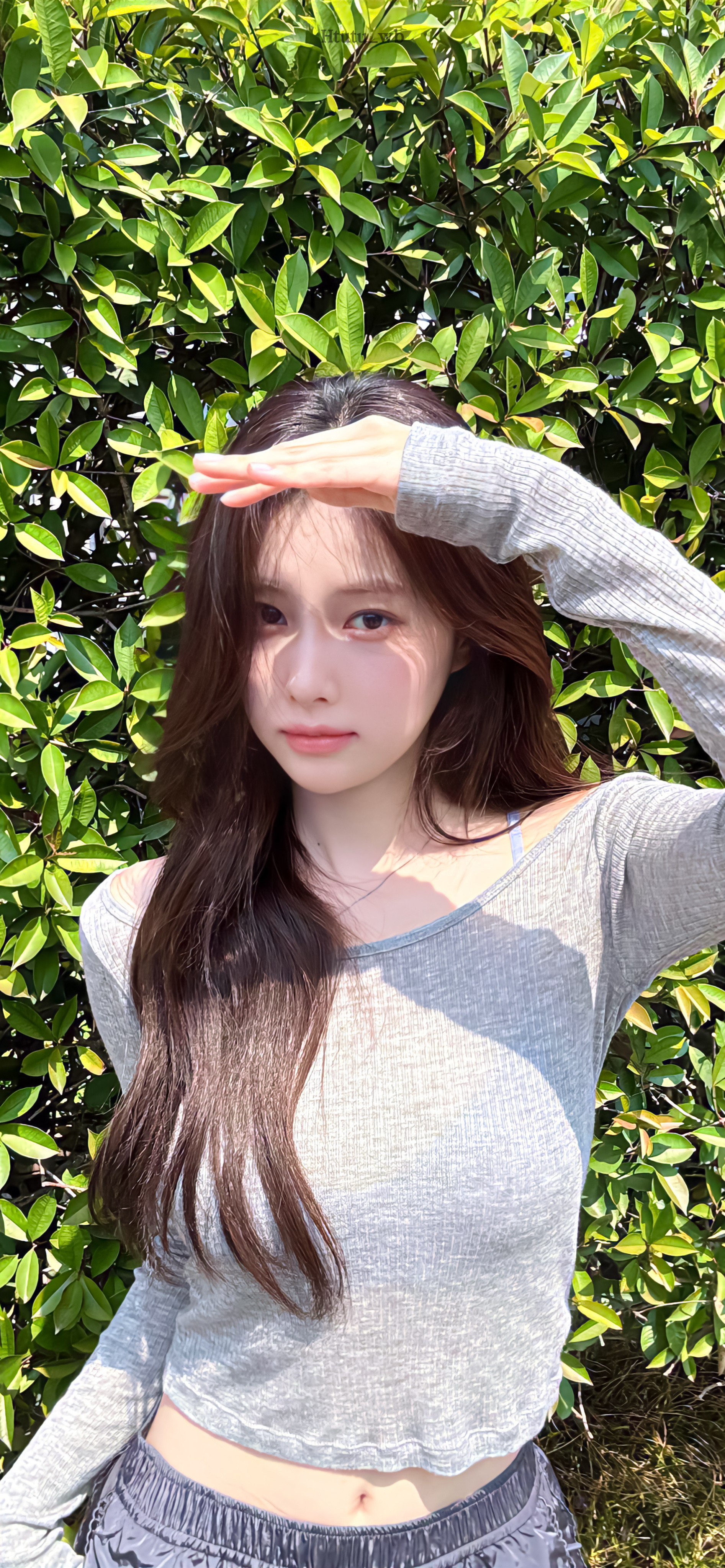 姜惠元壁纸来啦～🐰🍞💭