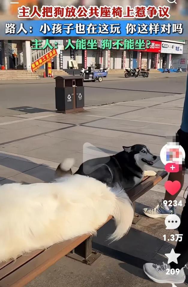 主人把狗放公共座椅上惹争议！路人：这是人坐的，你怎么让狗坐上去了，小孩子也在这