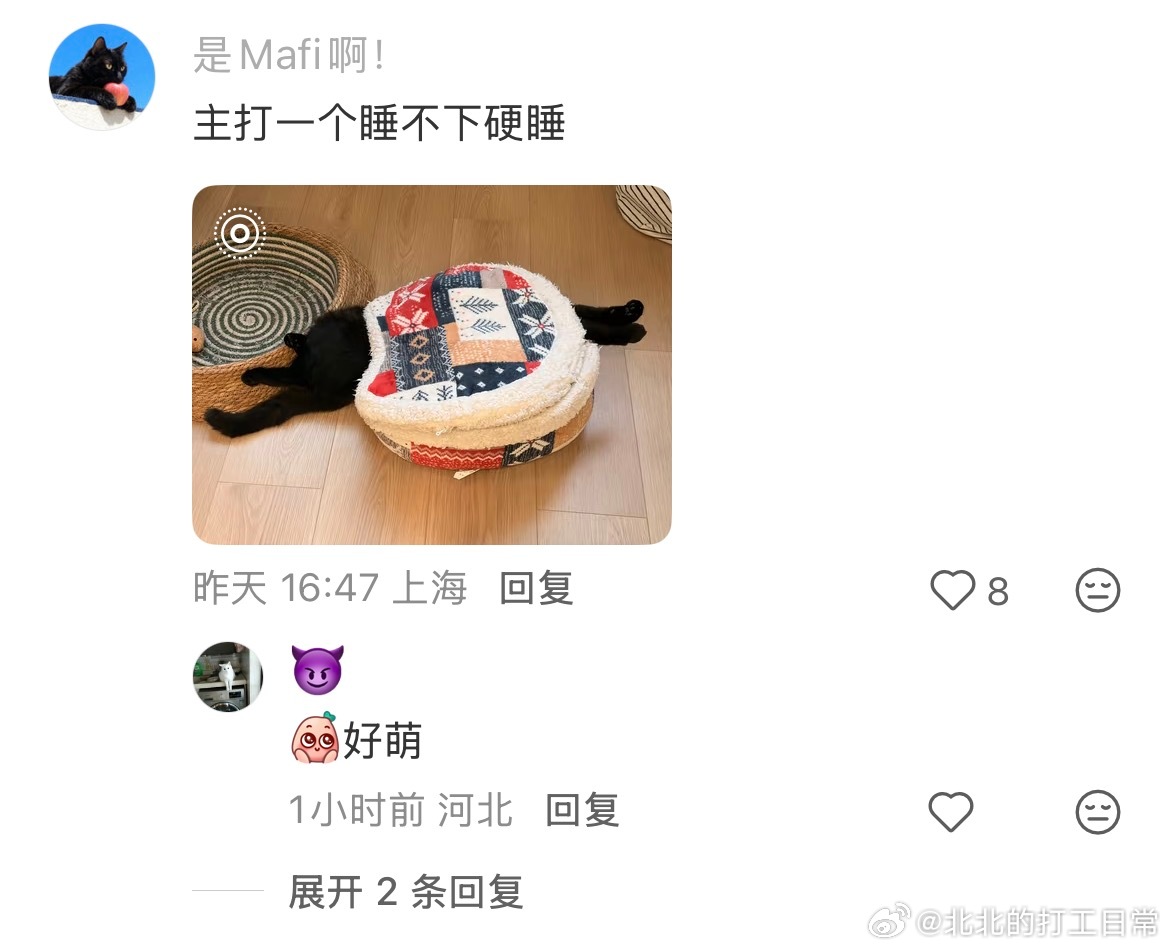 玩具买小了猫咪就这样硬玩