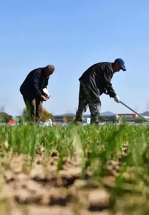 自古所谓“改革”，多是统治者在财政枯竭、民怨沸腾之际，对经济肌体动刀——却死死捂