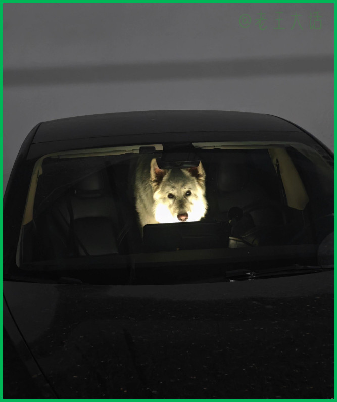 大晚上看到这个真的会让人吓一跳吧，有点恐怖