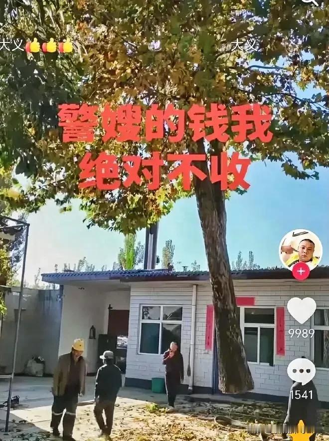 山东一个吊车老板，去客户家吊棵树，活儿干完了，女主人递过来800块钱。他没要。