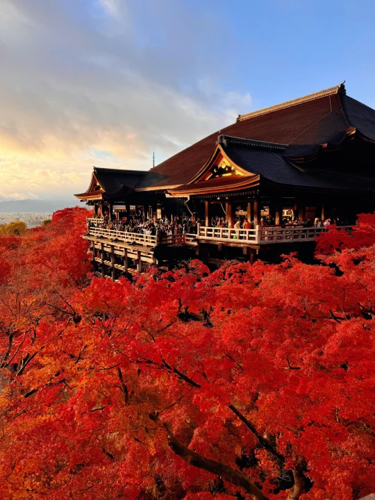 用实况打开红叶季🍁京都真的没有对手🍂