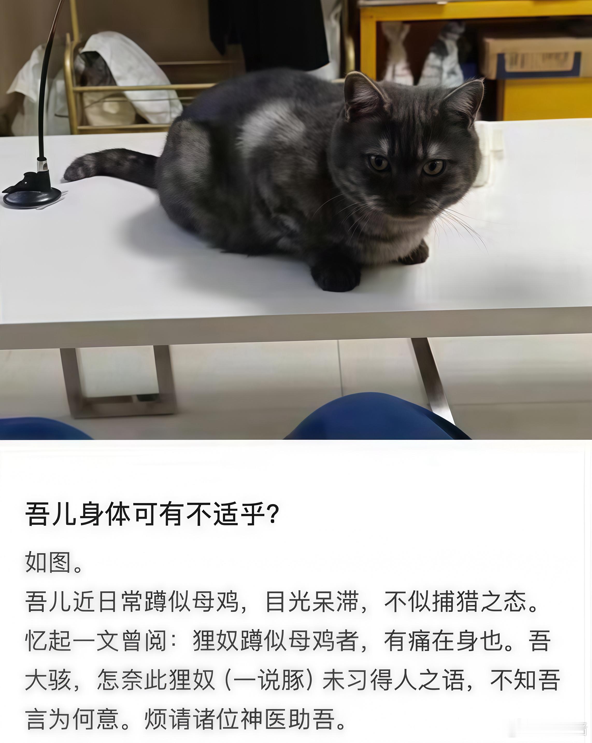 这条太萌了我和朋友一直笑​​​