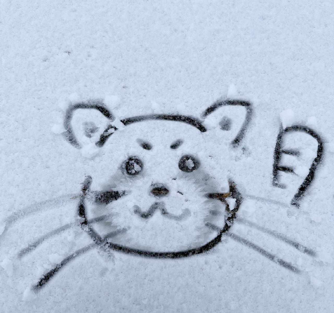 肖战卡点1311上线，杨紫新剧同日开机，粉丝秒懂：暗号已发，一生一世锁死。雪人