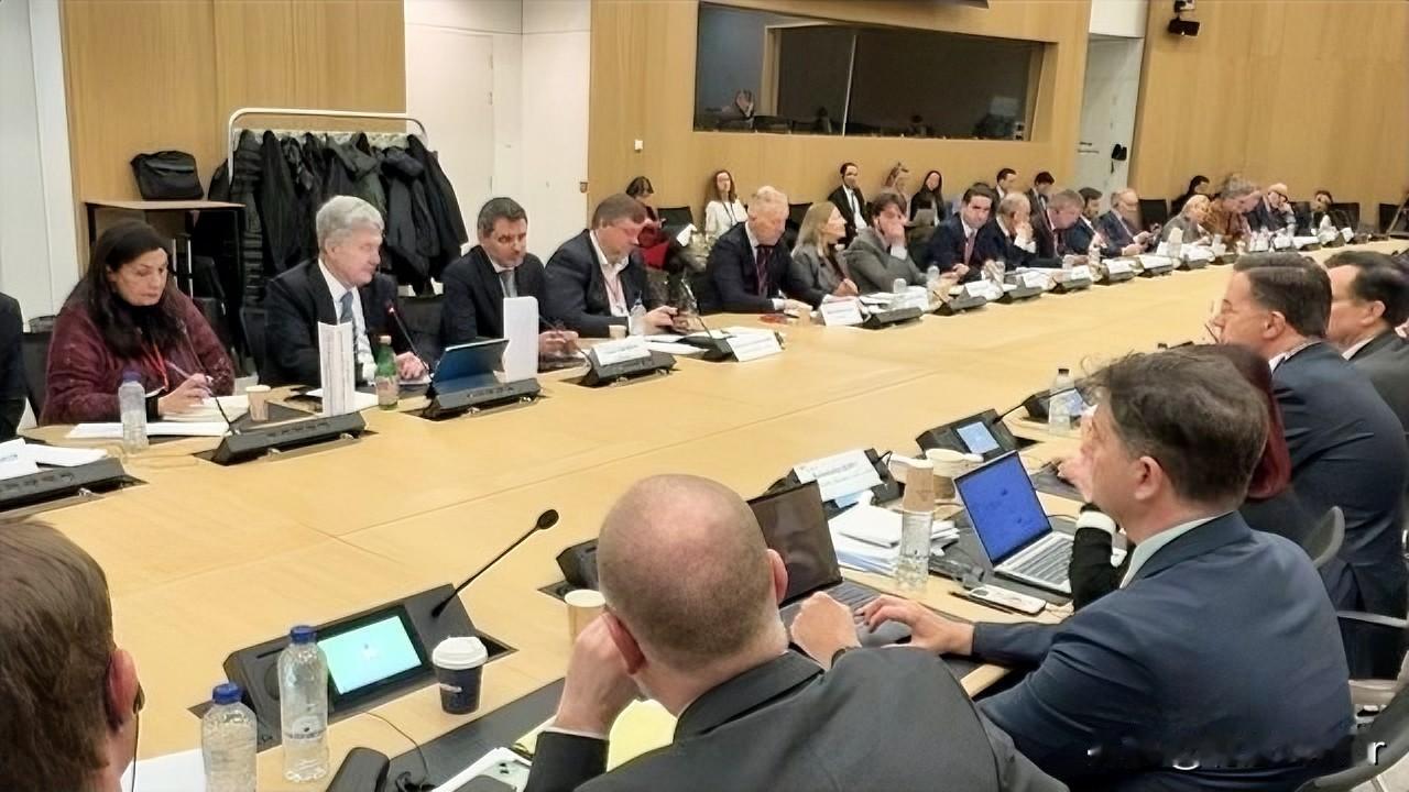 本周一，在布鲁塞尔举行的乌克兰-北约议会期间，乌克兰前总统波罗申科向盟友以及北约