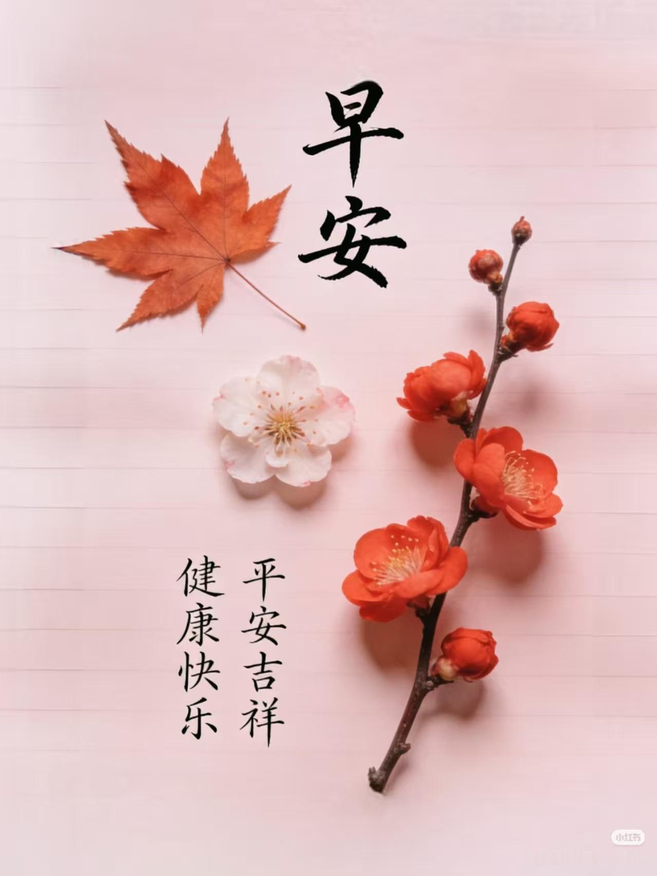 冰天雪地三九寒，友誼冷暖心裏藏，清晨問候天天有，微信替我送吉祥。早上好！