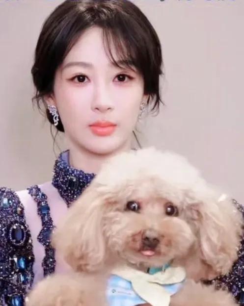 印象里杨紫总在片场飙演技，要么就是在综艺里活力四射，谁能想到她最近的“宏图大业”