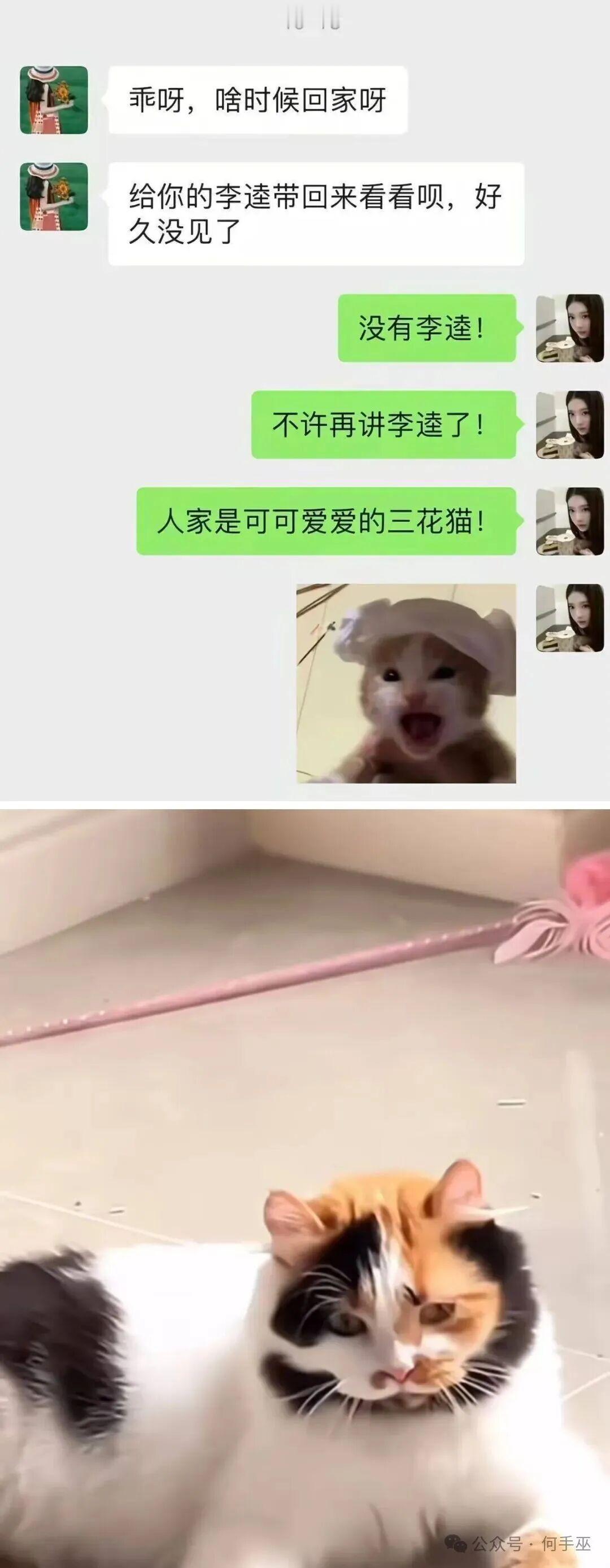 叫张飞也不是不行​​​