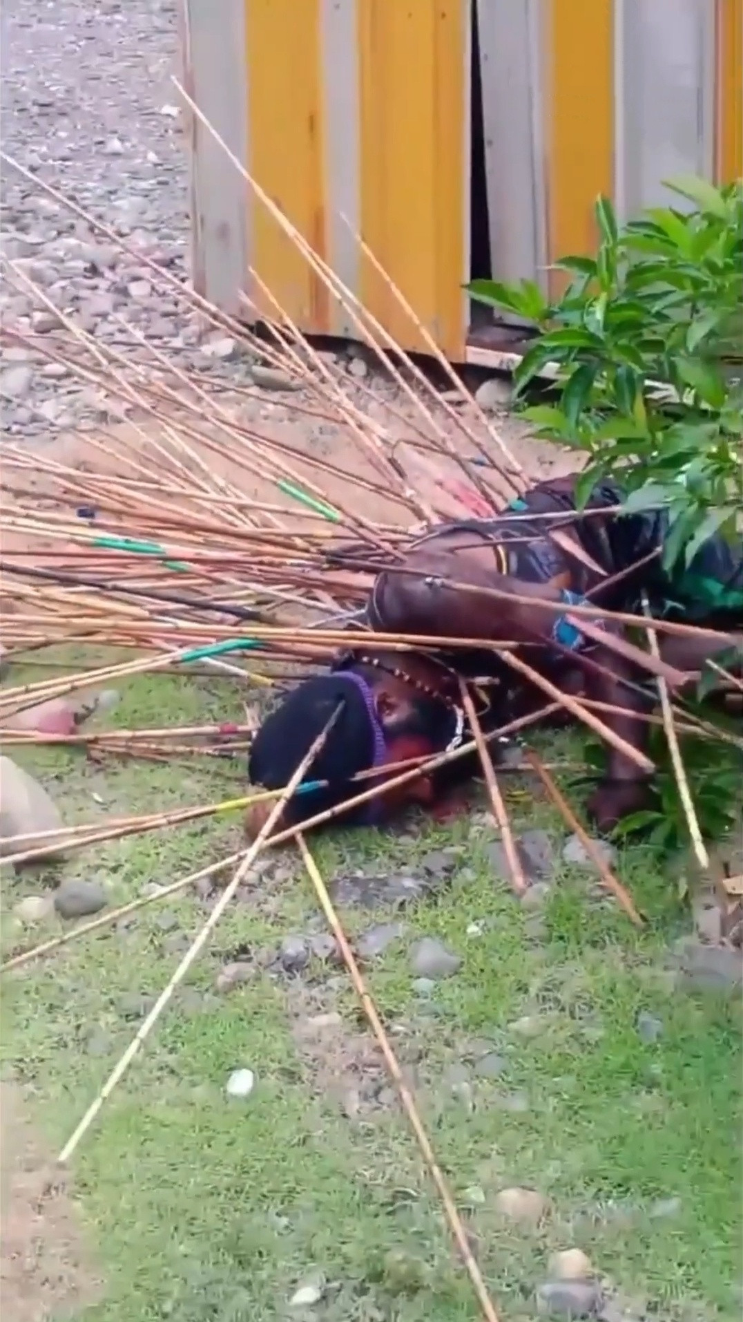 卧槽一名印尼巴布亚土著在冲突中被乱箭刺死
