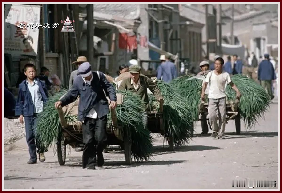 呼和浩特旧照片：“这是哪里”？呼和浩特老街巷这是一张被好多人转发的八十年代初