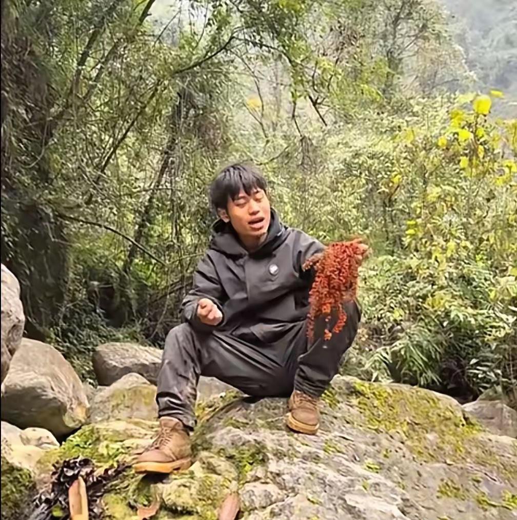 林北“估计要夺冠了”！他今天找到2斤树莓，糖分都补到吐了。还有吃不完的岩耳，外