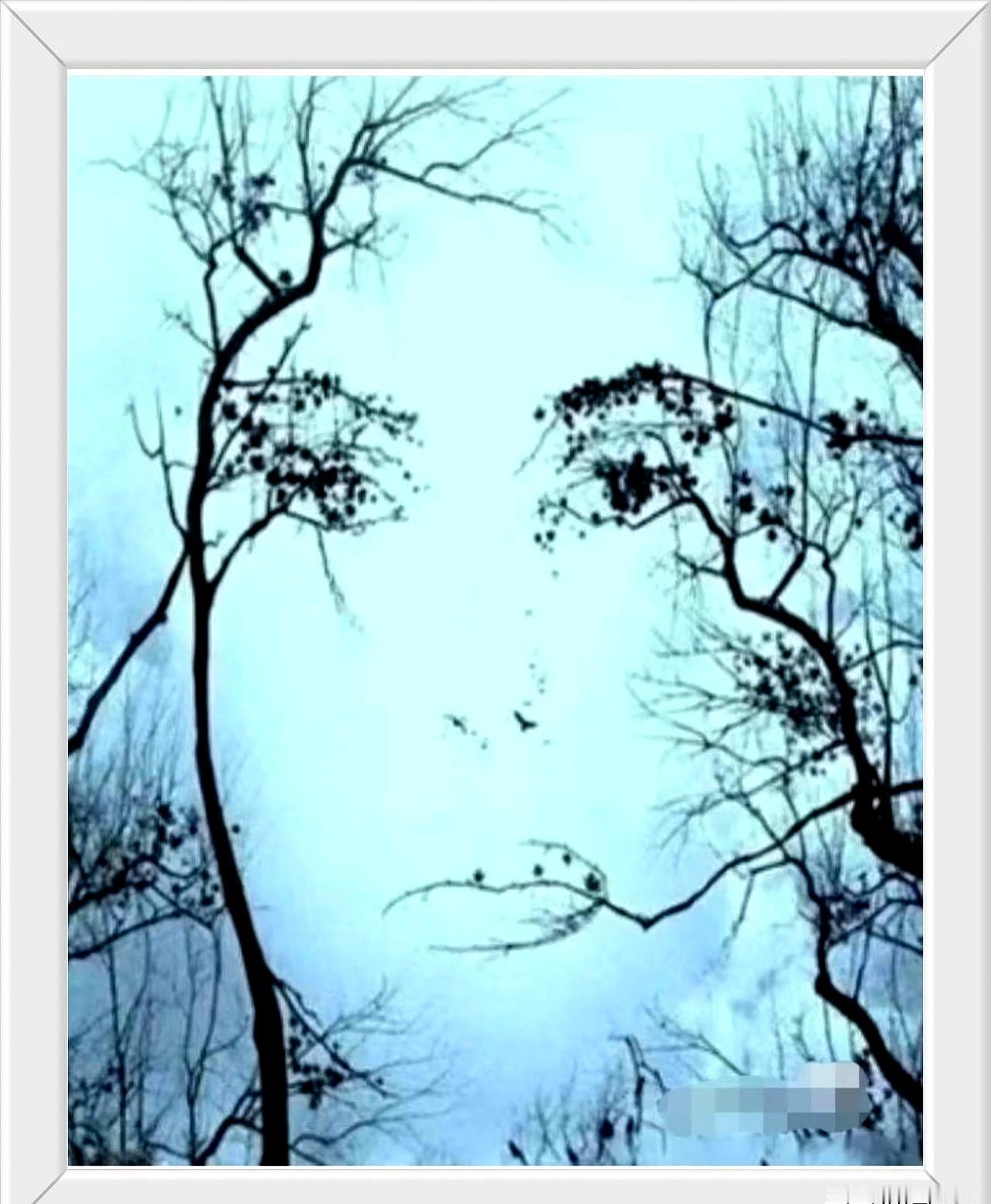 你第一眼看到的是人脸，还是树林？这张图看着简单，其实挺能“套”出一个人的第一反