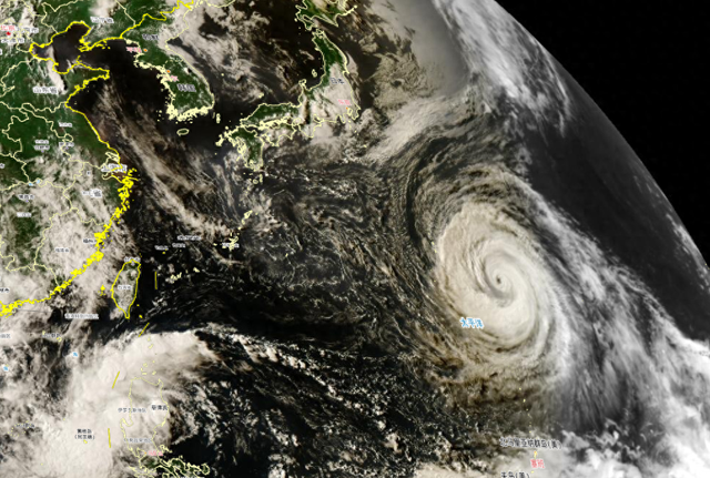 “白海豚”去哪儿? 这种情况, 上海将有强降雨!