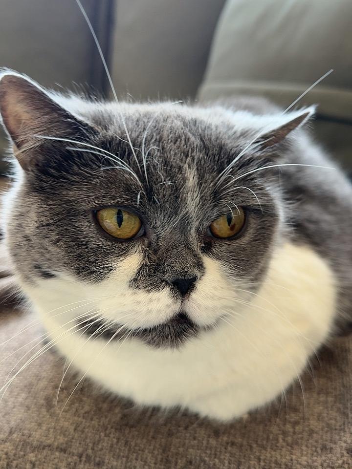 在单位里，38岁以上的中年人，如果所处层级很低，那一定会炫耀这两样东西我敢打