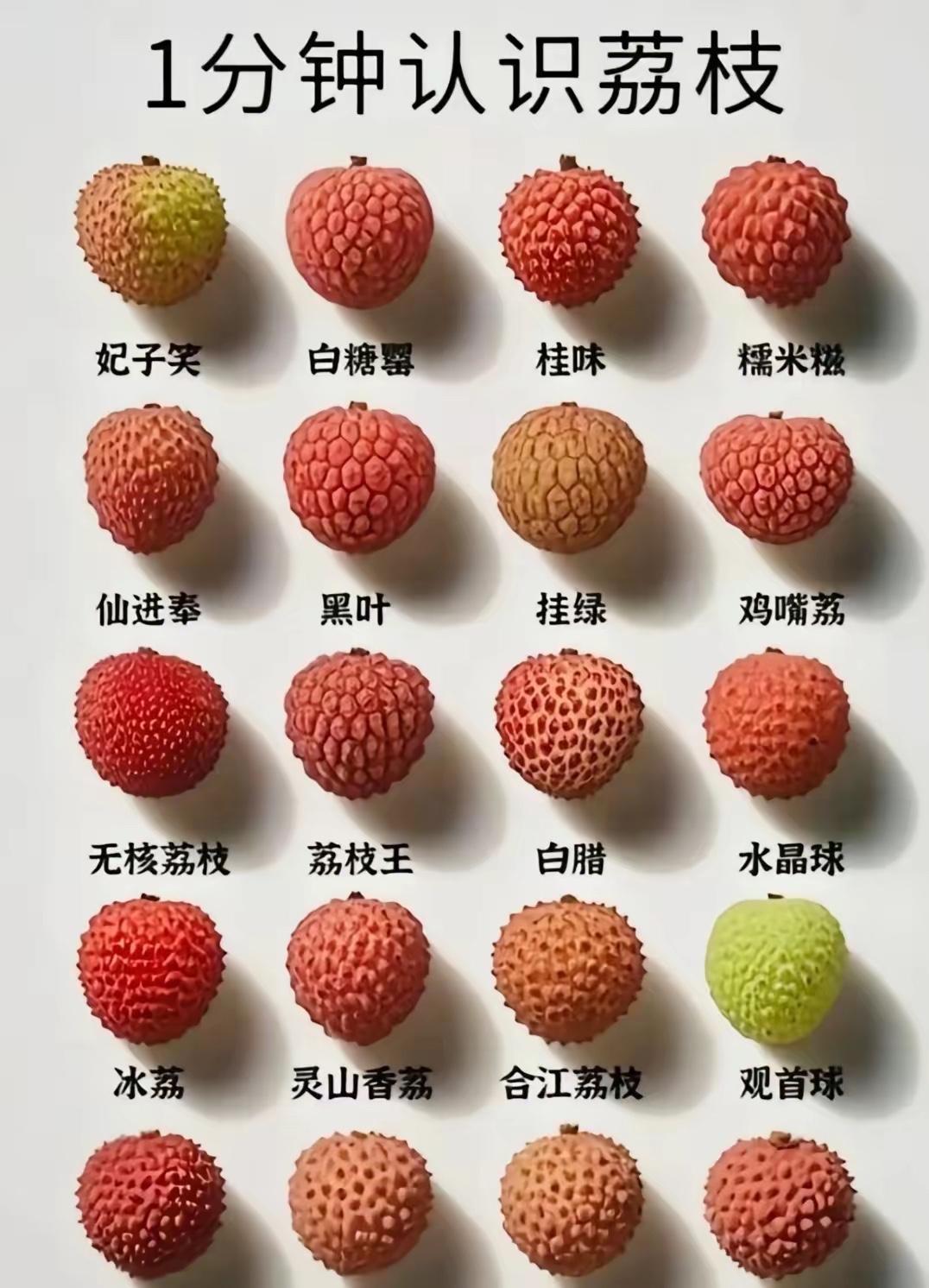 荔枝挑选指南：1分钟认清品种，买对不踩坑[大笑]热门品种特点速览•妃子