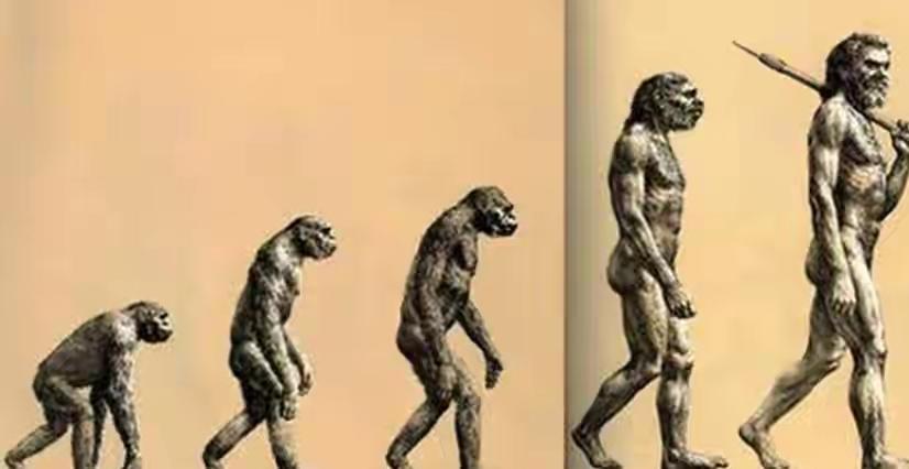 若人类全部灭绝，数亿年后，地球上有可能再次进化出人类吗？若人类全部灭绝，数亿年