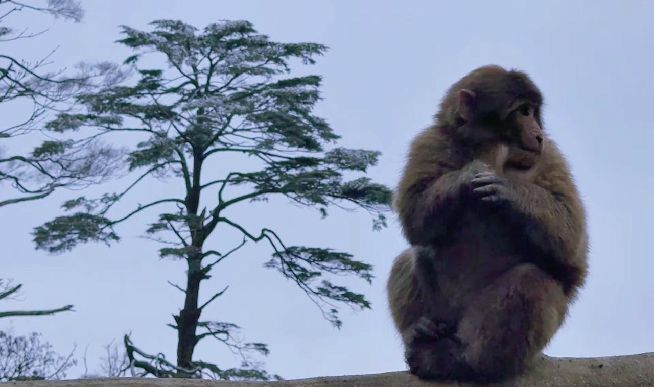 峨眉山徒步登山钻天坡
