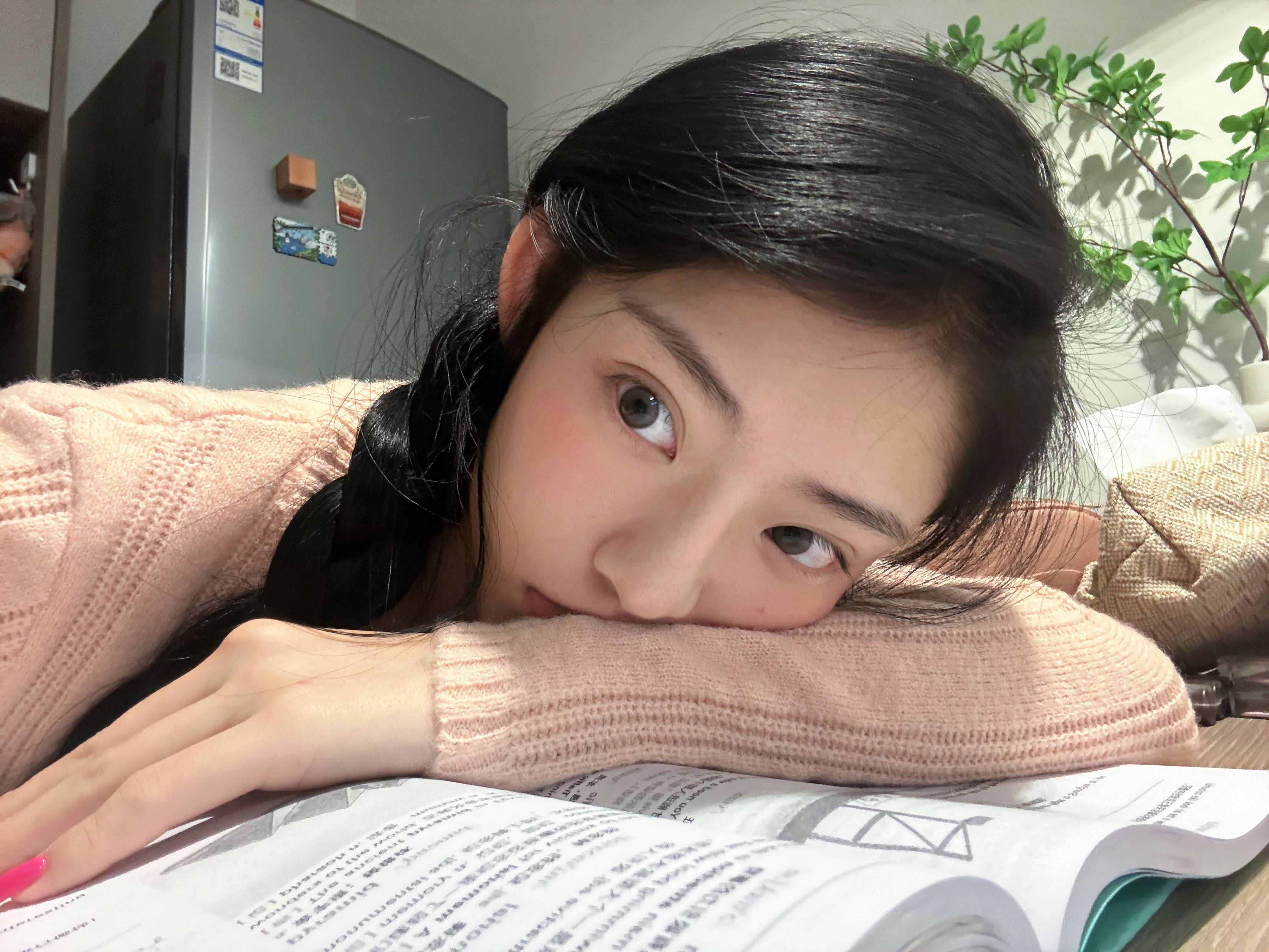 雅思资料速速丢来我头上