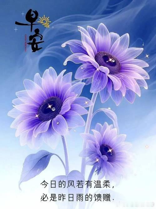 小运播报：2026年5月30日，星期六，农历四月十四(丙午年癸巳月甲辰日)，法定