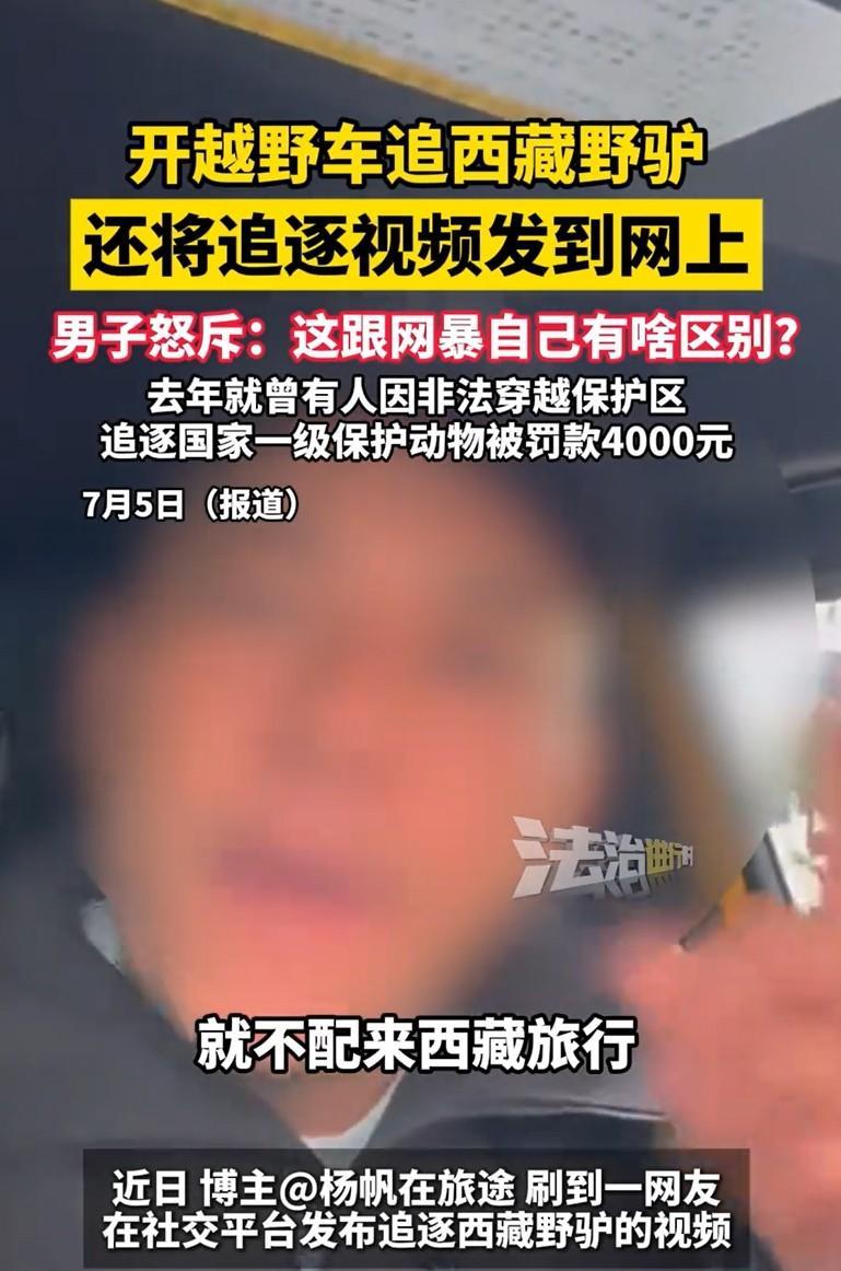 近日，有博主发视频称，有网友在西藏旅游，竟开越野车在草原追西藏野驴，而西藏野驴属