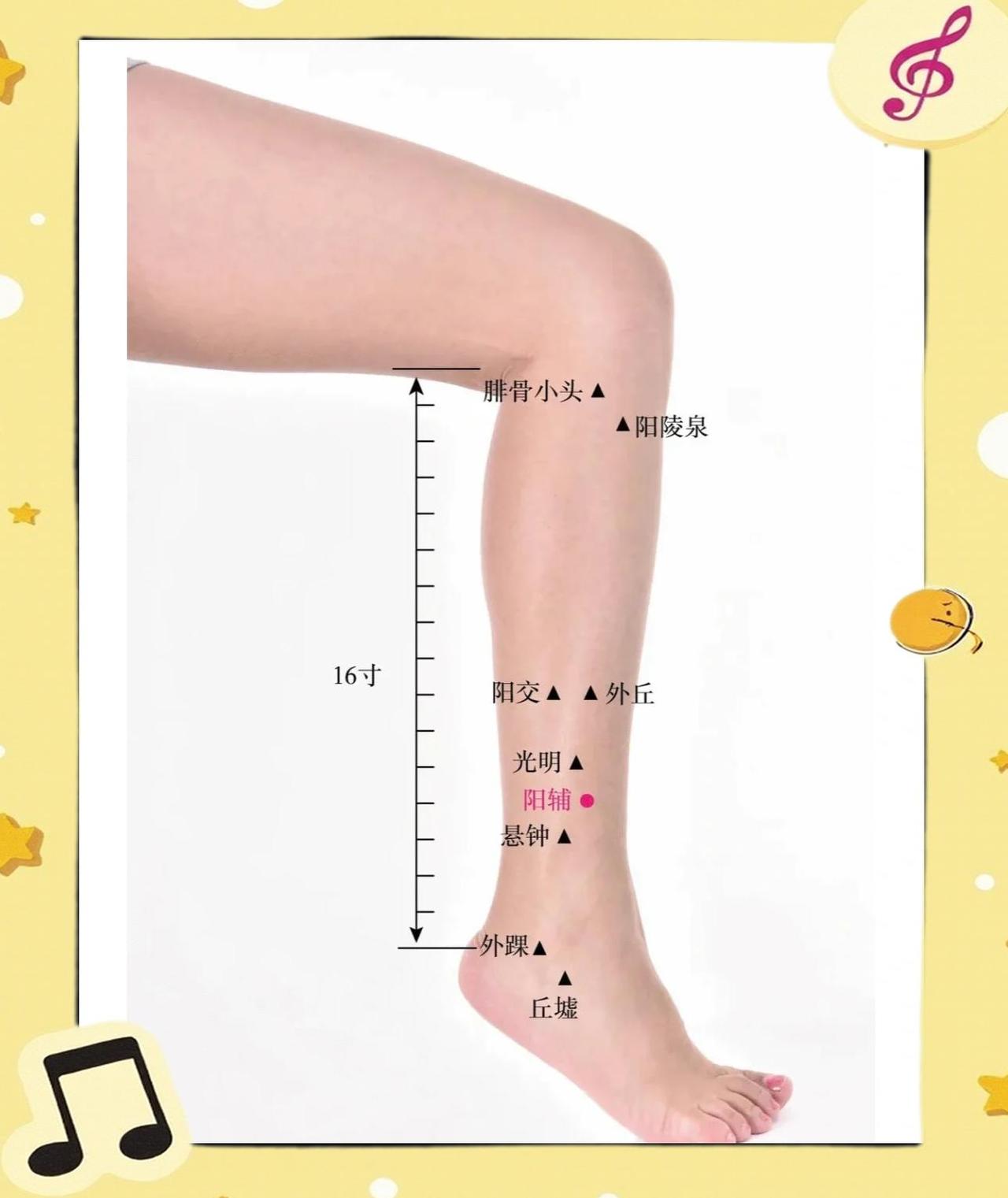 小腿外侧这个“清火开关”，专治偏头痛和肋骨疼！你有没有这种情况——动不动就偏头