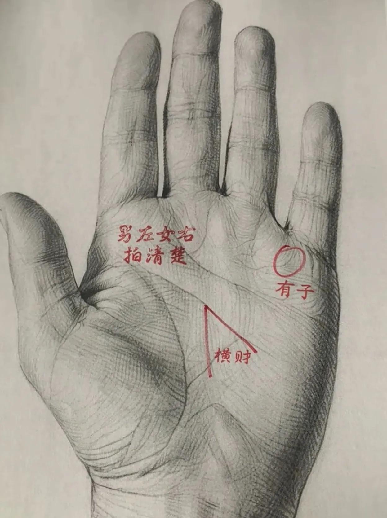 清晰可见的手势