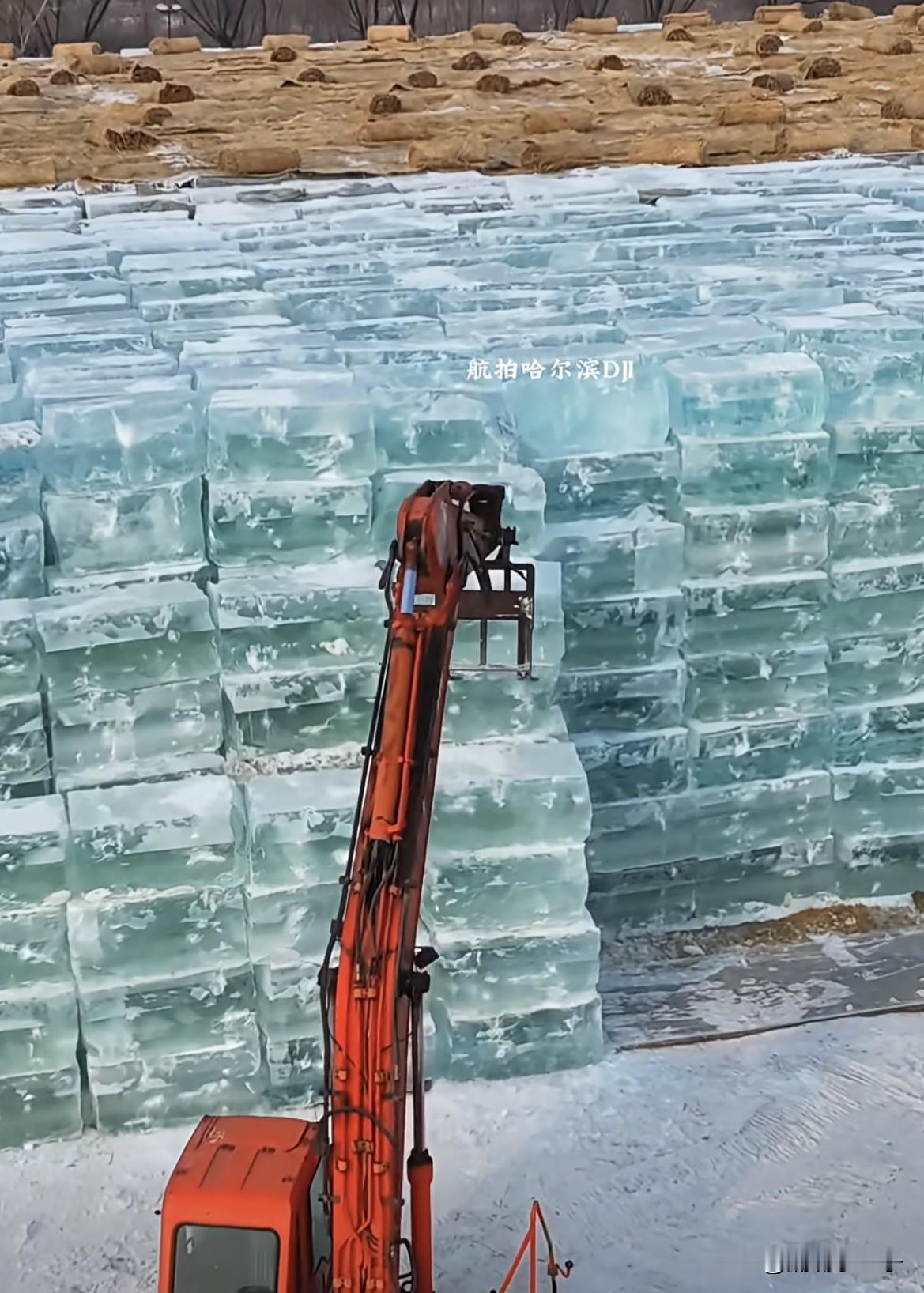 哈尔滨又开始存冰块了一直不明白哈尔冰的冰块是怎么保存一年不融化的