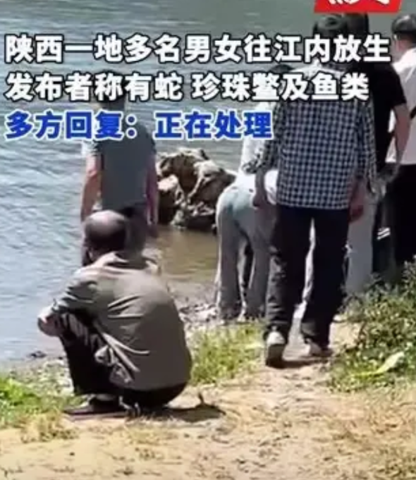 口里念佛，事已成魔！5月5日,在陕西安康的永红村汉江边,多名男女抬着多种生物往江