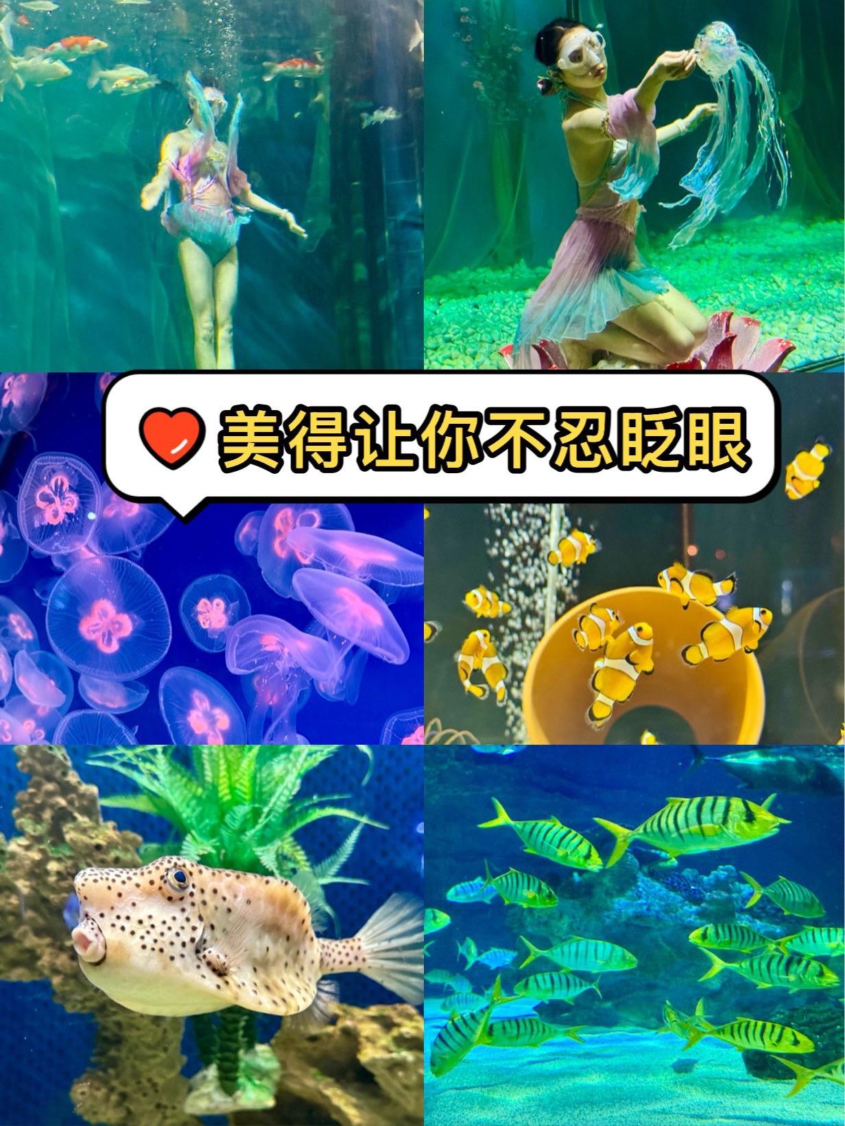 很多北京人也不知道！全北京这里美得最像三亚万万没想到，北京工体富国海底世界观