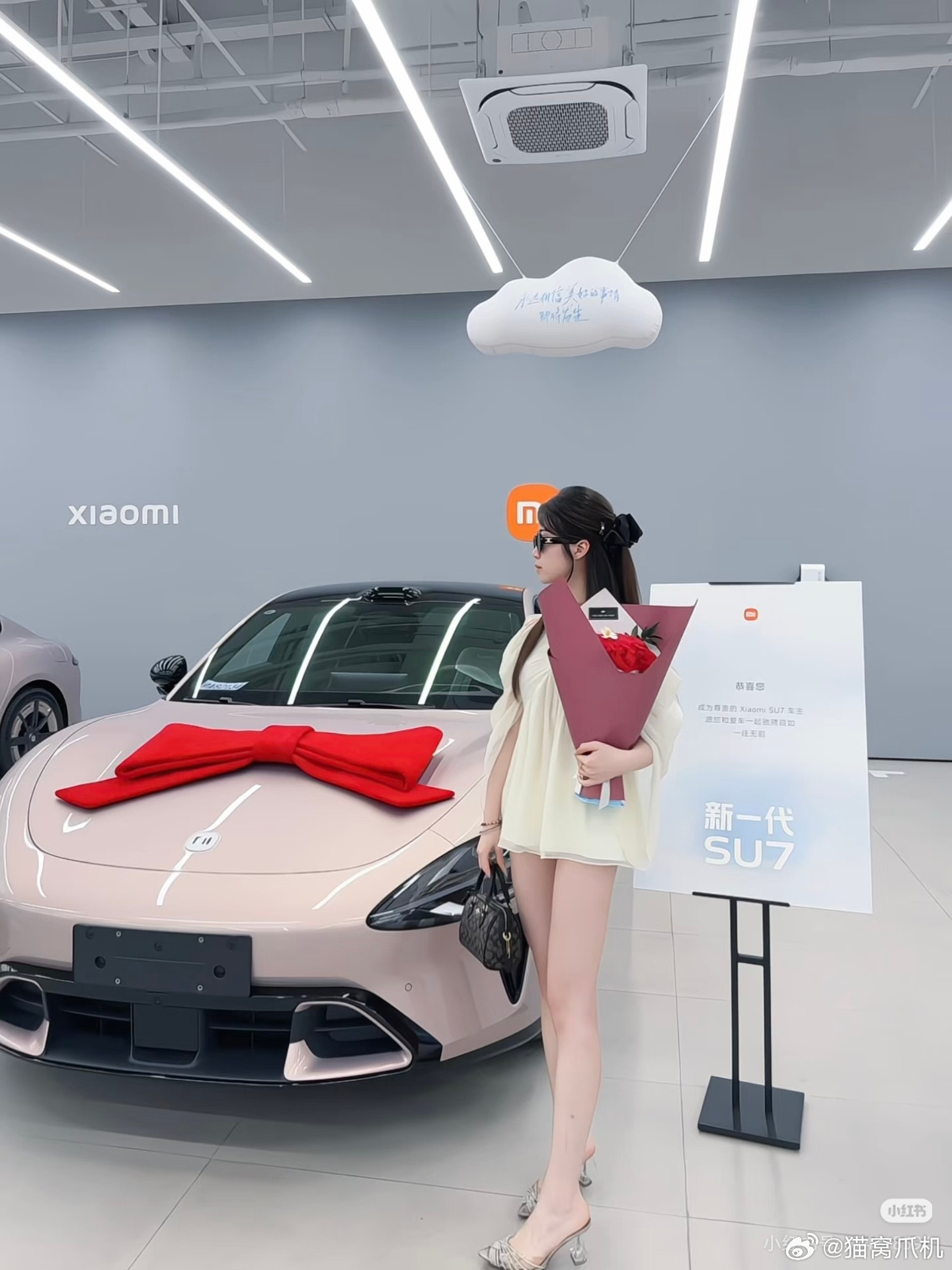晚安猫窝每日晚安新一代su7