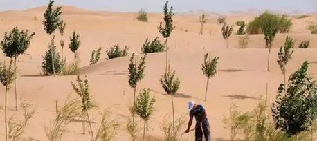 那年有个山西煤老板张弛前往迪拜体验贵族生活，3天挥霍了1200万，离开之前，一位