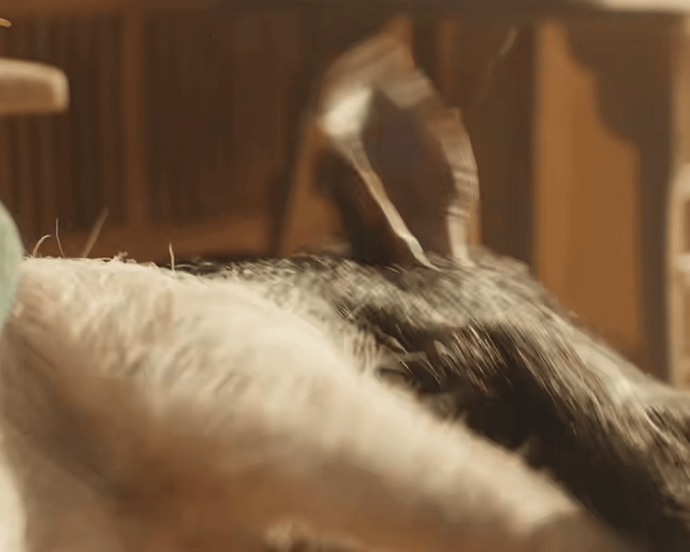 我对看不顺眼的人