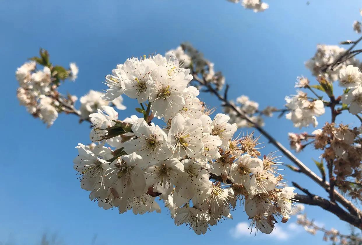 异性之间，开始暧昧的迹象：频繁互动感情很奇妙，起初无感的两人，相处久了也可能情