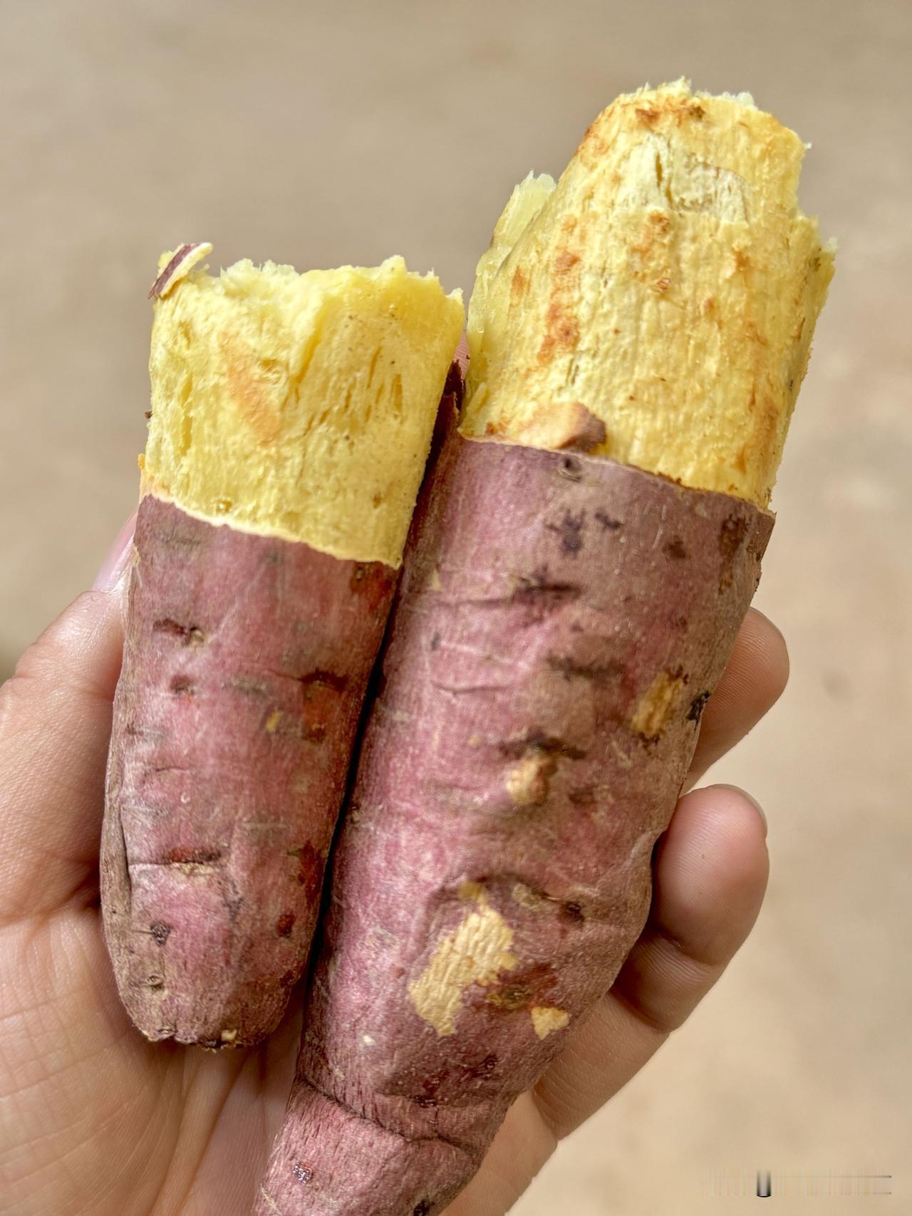 被这个板栗红薯惊艳到了粉粉糯糯的，怎样做都好吃蒸着吃是很粉很糯很香带不腻的甜