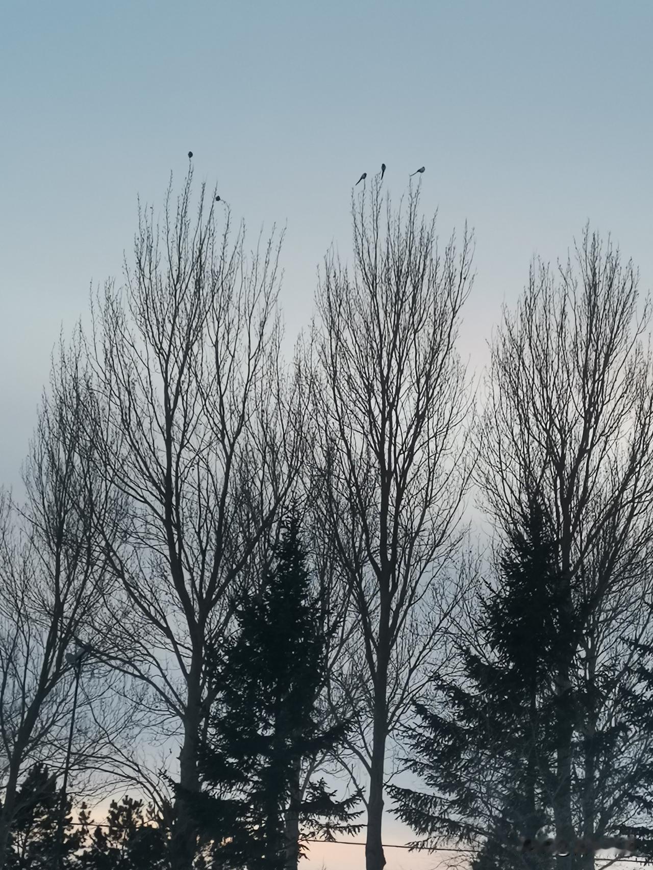 今晚23点！U23国足冲冠战，全国球迷都在等这一场！今晚23点，沙特吉达的