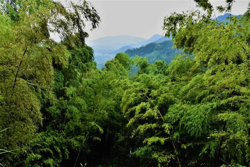 上联：清风抚竹海，诚邀您来对下联朗月映梅山。