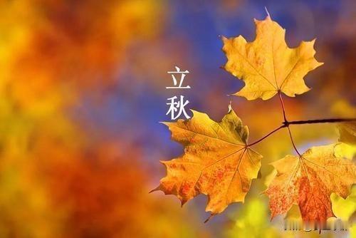 明日立秋是“凶日”，牢记1不睡、2不洗、3不喝、4不贴，安稳入秋秋风起兮白