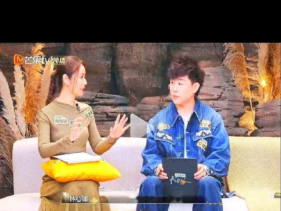 林心如买个东西，婆婆说她败家。结果人家一年赚上亿，买的是自己辛苦换来的。霍建